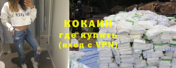 крисы Баксан