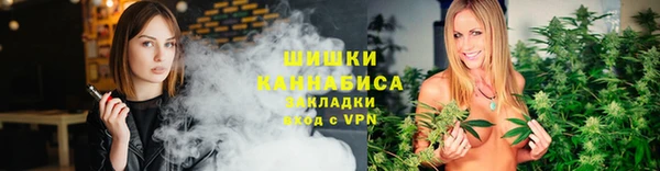 крисы Баксан