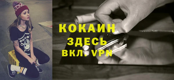 гашик Арсеньев