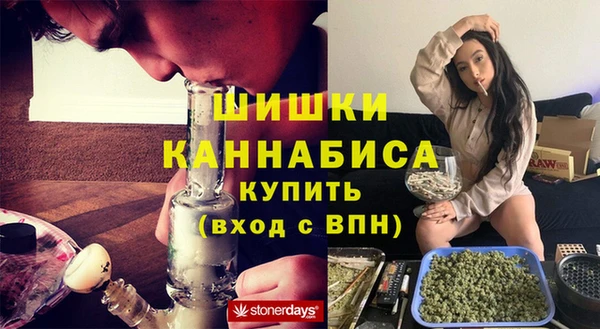 крисы Баксан