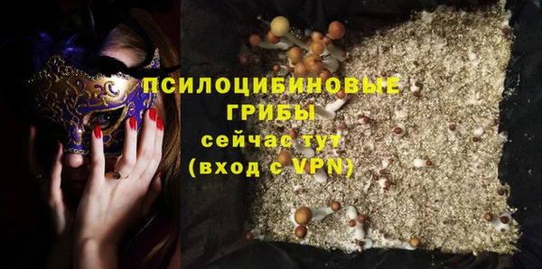 стаф Семёнов
