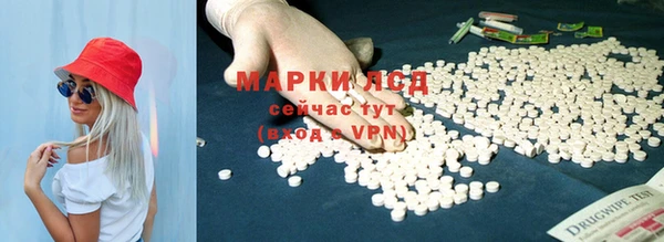 крисы Баксан