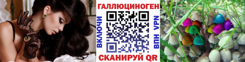 Псилоцибиновые грибы Psilocybe  Озёрск 