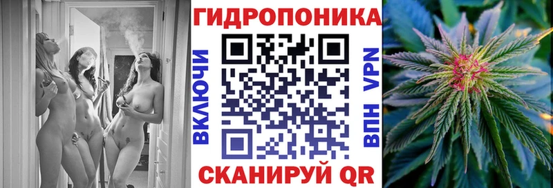 где купить наркоту  Озёрск  Бошки Шишки Ganja 